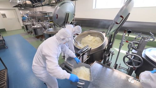 日本的孩子不吃盒飯,來(lái)看看日本的食品加工廠,是如何制作中小學(xué)生午餐的