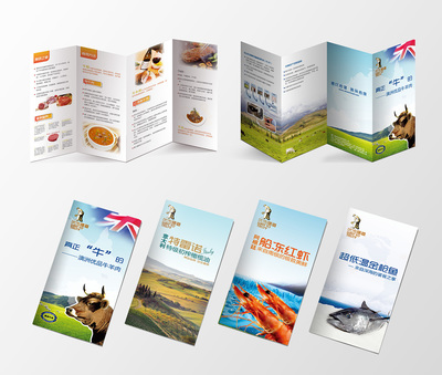 進(jìn)口食品-產(chǎn)品宣傳折頁